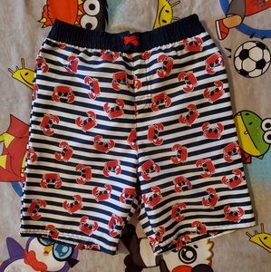 Toddler Boy Swim Trunks